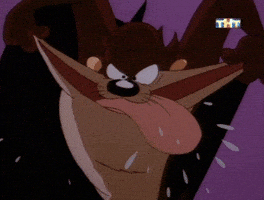 Looney Tunes Taz GIF