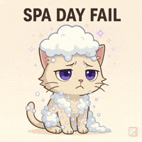 Happy Birthday Celebration GIF by Persona