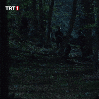 Soldier Danger GIF by TRT