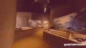 History Museum GIF by Museum of Miami