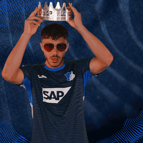 Sport Bundesliga GIF by TSG Hoffenheim