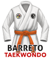 Laranja Sticker by Barreto Taekwondo