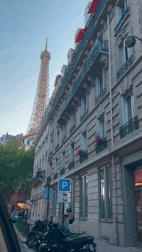 Driving France GIF