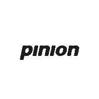 Piniondrivetechnology gearbox mgu pinion pinionmgu Sticker