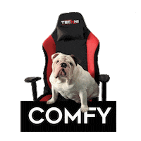 Dog Love Sticker by TechniSport