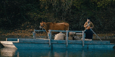 Water Cow GIF by A24
