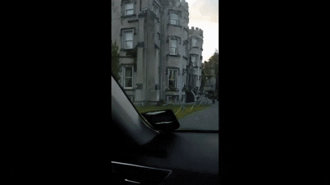 joyadass giphyupload GIF