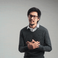 somposeguros sompo somposeguros GIF