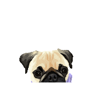 Scooterandmika Sticker by Pickle's Pawtraits