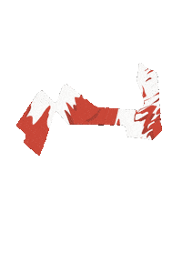 Racing F1 Sticker