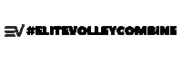 Elite Sticker by EliteVolley.com