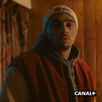 Shocked Mister V GIF by CANAL+