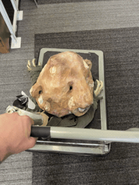 Behind The Scenes Studio GIF by Alex Boya