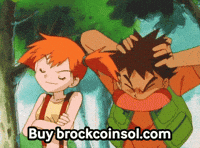 BrockOnSol pokemon lets go winner champion GIF