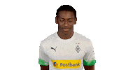 Mamadou Doucoure Bundesliga Sticker by Borussia Mönchengladbach