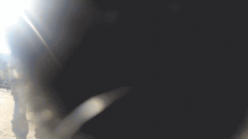 GIF by Planckendael