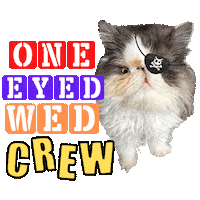 One Eyed Cat Sticker