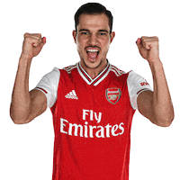 Cedric Soares Football Sticker by Empower Sports