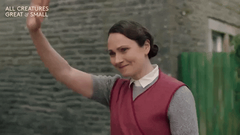 Wave Goodbye GIF by All Creatures Great And Small