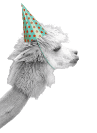 Party Dancing Sticker by Aimara AG