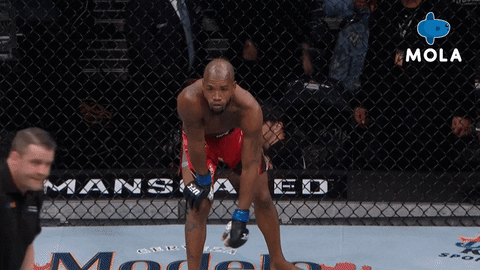Angry Ultimate Fighting Championship GIF by MolaTV