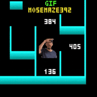 Maze 392 Mose GIF