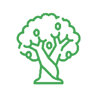 Elaisian agricultura agriculture olive arbol Sticker