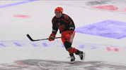 Skating Ice Hockey GIF