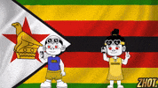 Southern Africa Zimbabwe GIF by Zhotcita