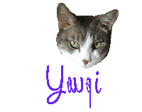 Cat Sticker