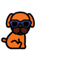 Boxer Dog Wow Sticker