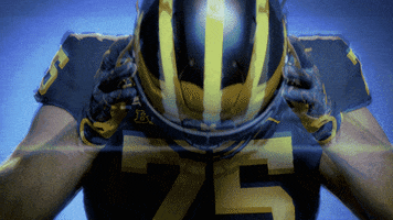 Go Blue College Football GIF by Michigan Athletics
