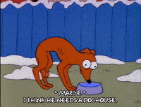 Season 3 Water GIF by The Simpsons