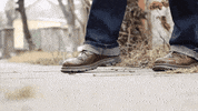 GIF by Giffffr