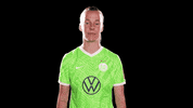 Hack My Life Reaction GIF by VfL Wolfsburg