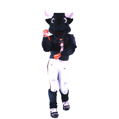 Dance Dancing Sticker by Houston Texans
