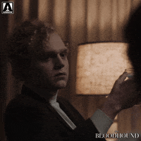 No Way Wow GIF by Arrow Video