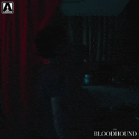 I See You Surprise GIF by Arrow Video