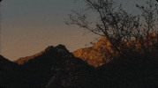 10 Summers GIF by Ella Mai