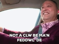 carwpiws cymraeg s4c teledu carw piws GIF