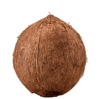 ikwilbolletje coco coconut sinterklaas pakjesavond Sticker