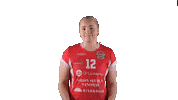 Sport Volleyball Sticker by LP Viesti