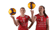 Sport Volleyball Sticker by LP Viesti