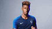 sport goal GIF by Equipe de France de Football
