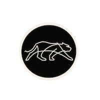 Dance Wear Sticker by Tiger Friday