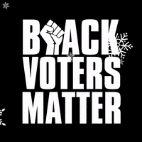 Vote Voting GIF by Black Voters Matter Fund