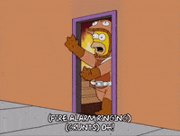 homer simpson episode 6 GIF