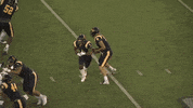 Gomocs GIF by Chattanooga Mocs