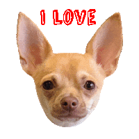 I Love You Dog Sticker