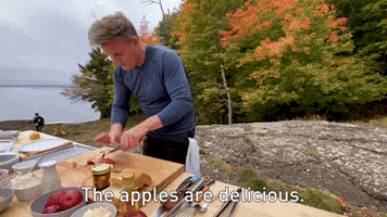 The Apples Are Delicious 